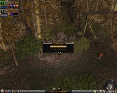 Dungeon Siege 2