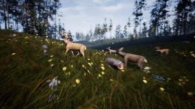 Hunting Simulator 2017