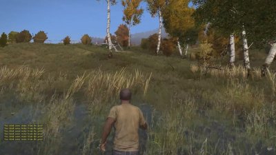 DayZ Standalone    2024