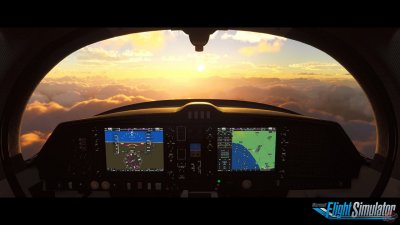 Microsoft Flight Simulator