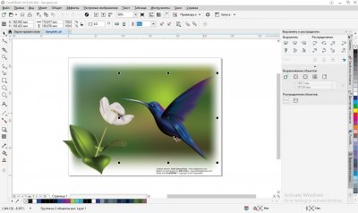 CorelDRAW 2018