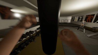 Gym simulator