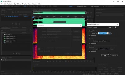 Adobe Audition 2020