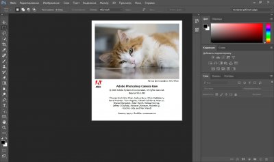 Adobe Photoshop CC 2015