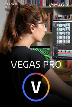 Sony Vegas Pro 19