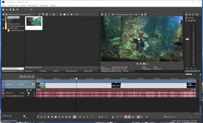 Sony Vegas Pro 19