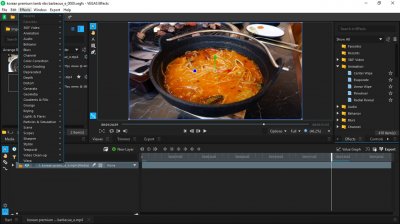 Sony Vegas Pro 21