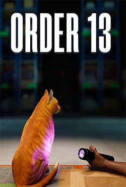 ORDER 13