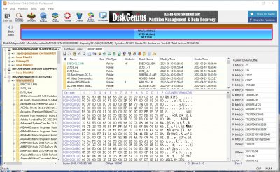 DiskGenius Professional