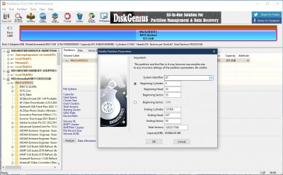 DiskGenius Professional