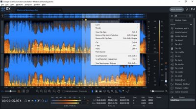 iZotope RX 11 Audio Editor Advanced