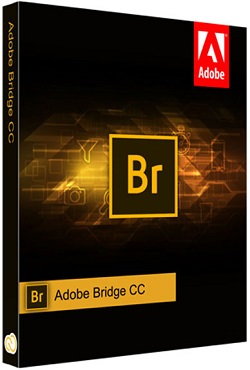 Adobe Bridge 2026