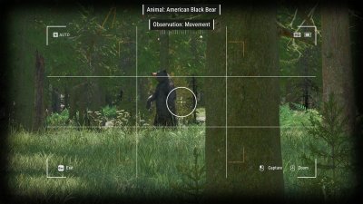 Ranger�s Path National Park Simulator