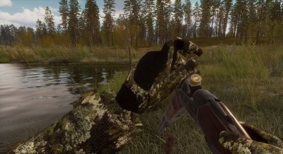 BULT Hunting simulator