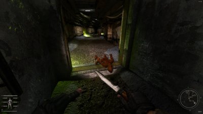 Stalker Anomaly Gamma