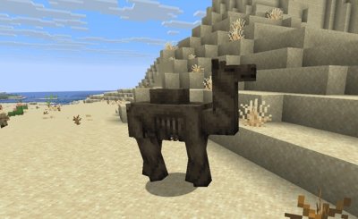 ��������� 1.21.11