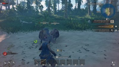 Windrose ��������� ������