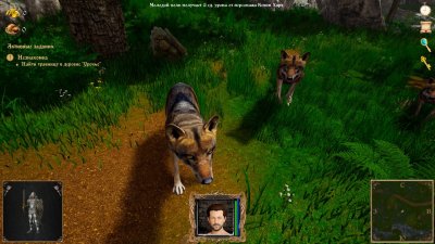 ������ ������ XI ��������� ���