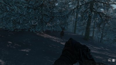 Stalker Alone In Windstorm: Fallen Bear