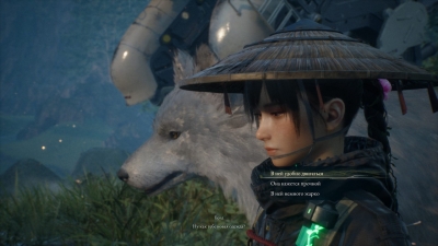 Beast of Reincarnation