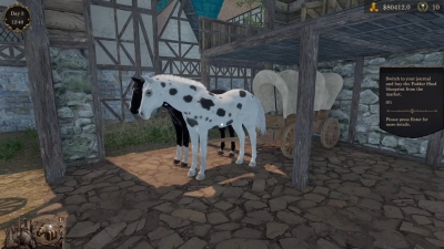 Medieval Horse Dealer Simulator