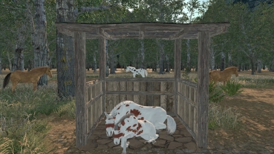 Medieval Horse Dealer Simulator