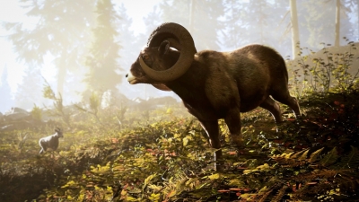 Hunting Simulator 3
