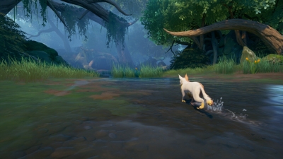 Warrior Cats Clans of the Forest