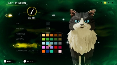 Warrior Cats Clans of the Forest