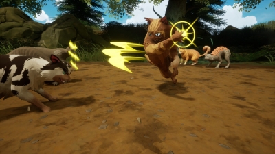 Warrior Cats Clans of the Forest