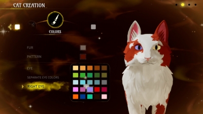 Warrior Cats Clans of the Forest